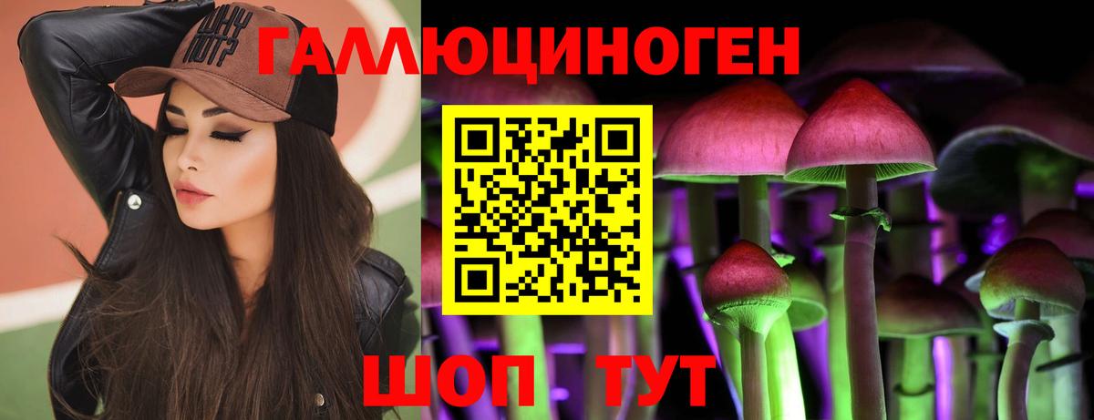 Галлюциногенные грибы Psilocybe Клин